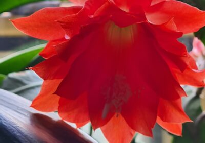 20200526_081645-Kopie