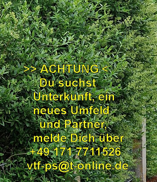 An alle Frauen die suchen, lest meinen Text und entscheidet Euch schnell