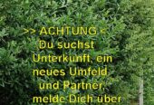 ACHTUNG! Damen aufgepasst, sucht Ihr dies, dann schnell antworten