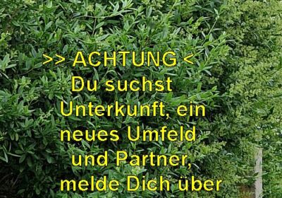 wernwerbPfB00023-0